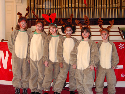 Reindeer-a