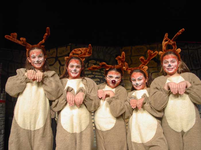 02v-reindeer-1