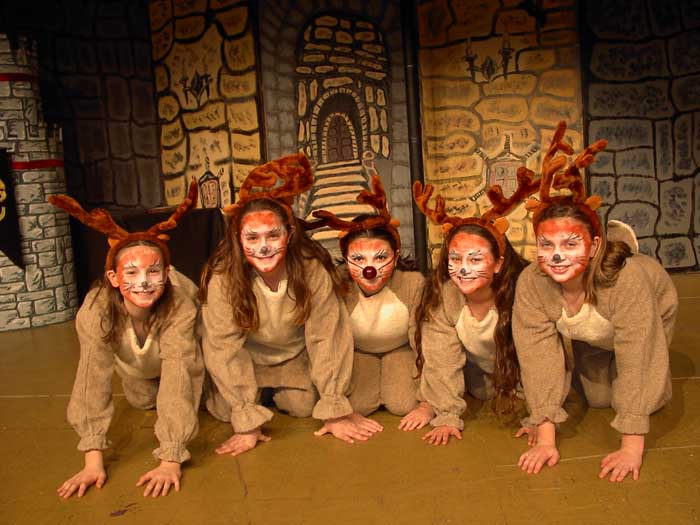 02v-reindeer-2