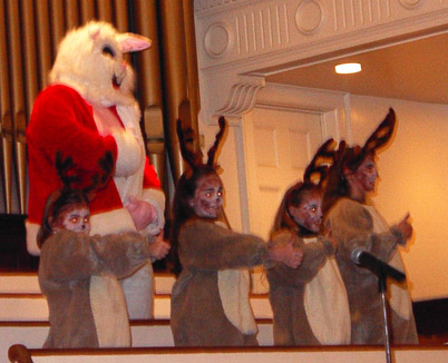 20-bunny2-03