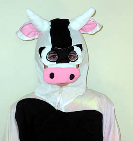 VINHS_CowBaby