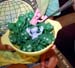 13_YumYum-1